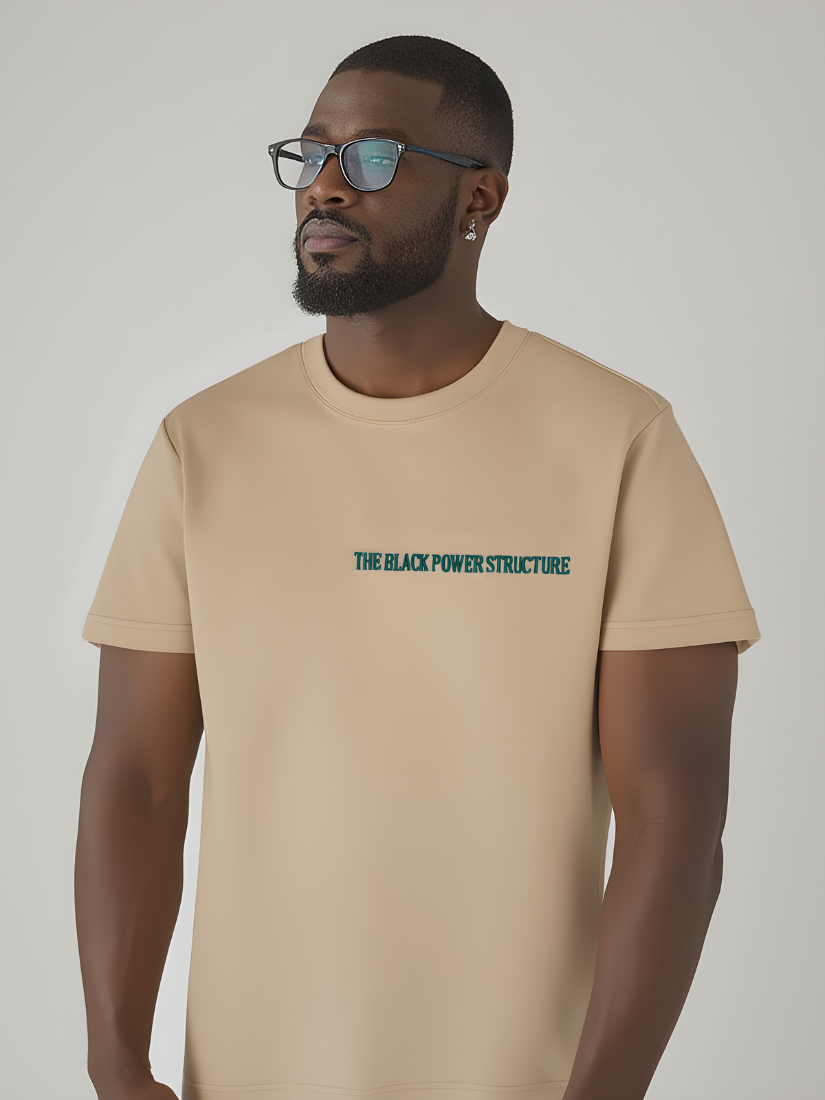 Black Power Structure